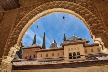 Il meglio del tour a piedi di Granada